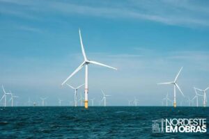 O impacto das decisões de Trump na indústria de energia eólica