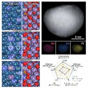 Catalisador de platina aumenta eficiência e durabilidade de células a combustível