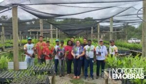 Sebrae apresenta ALI Rural a produtores do Viveiro Floresta Viva em São Bento (MA)